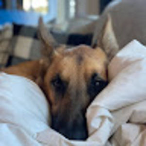 Meet your Posher, Kristine